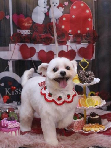 20250201うるちゃん